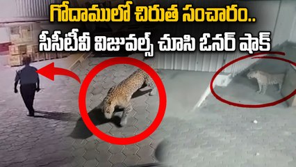 Leopard Spotted in Coimbatore ! CCTV Footage From Irugur Goes Viral | Oneindia Telugu