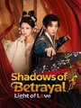 Shadows of Betrayal, Light of Love #Dramabox