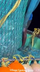 Gulf Ocean Fight — Winning the Battle Against a Powerful Giant Fish