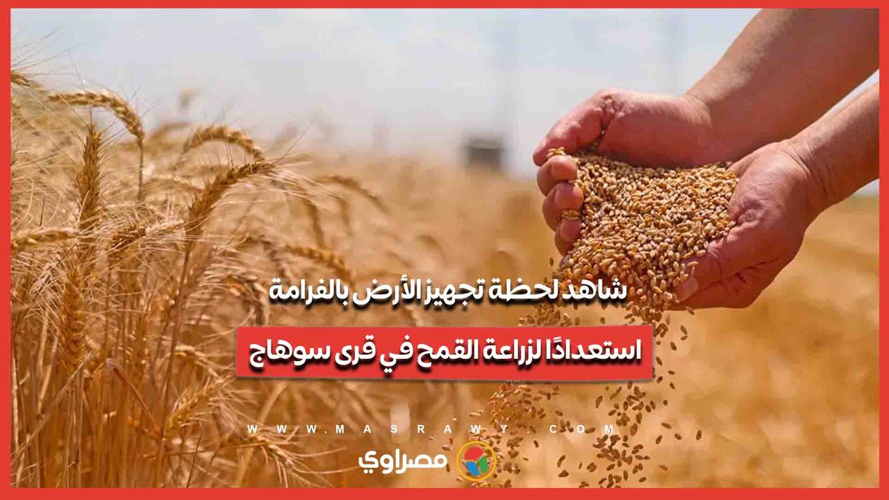 شاهد لحظة تجهيز الأرض بالفرامة استعدادًا لزراعة القمح في قرى سوهاج...