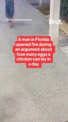 A fight over how many eggs a chicken can lay results in a gun fight.