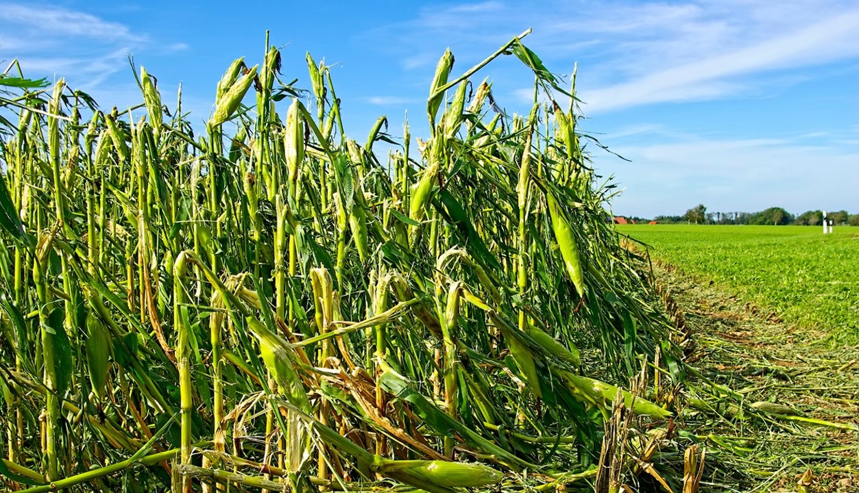 Gérer une exploitation à l’heure du changement climatique