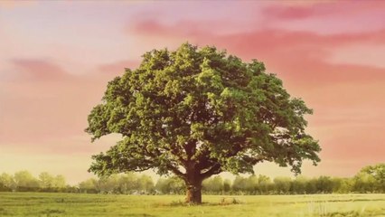 Na miłość nie ma recepty - 95 Finał