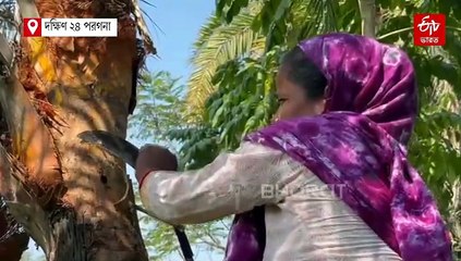 জেলার সর্বপ্রথম শিউলি, সংসারের হাল ধরতে স্বামীর সঙ্গে কাঁধে কাঁধ মিলিয়ে লড়াই মাজিদার