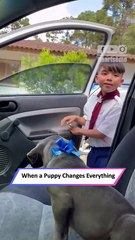 His Reaction to the Puppy Surprise? Pure Joy and Tears of Love!|| Heartsome 💖