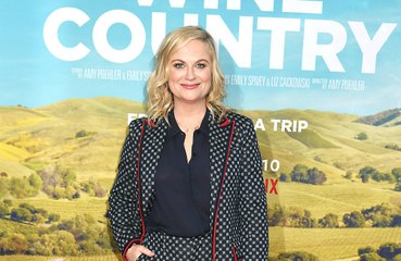 Amy Poehler expõe susto inesperado que viveu ao contracenar com um chimpanzé