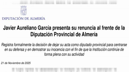 Dimite el presidente de la Diputación de Almería, implicado en el caso Mascarillas
