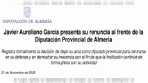 Dimite el presidente de la Diputación de Almería, implicado en el caso Mascarillas