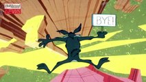 'Coyote vs. Acme' Star Will Forte Says Movie is 