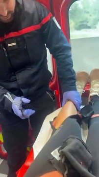 «Ce n’est pas beau et c’est très profond» : Ariane Brodier attaquée par trois chiens