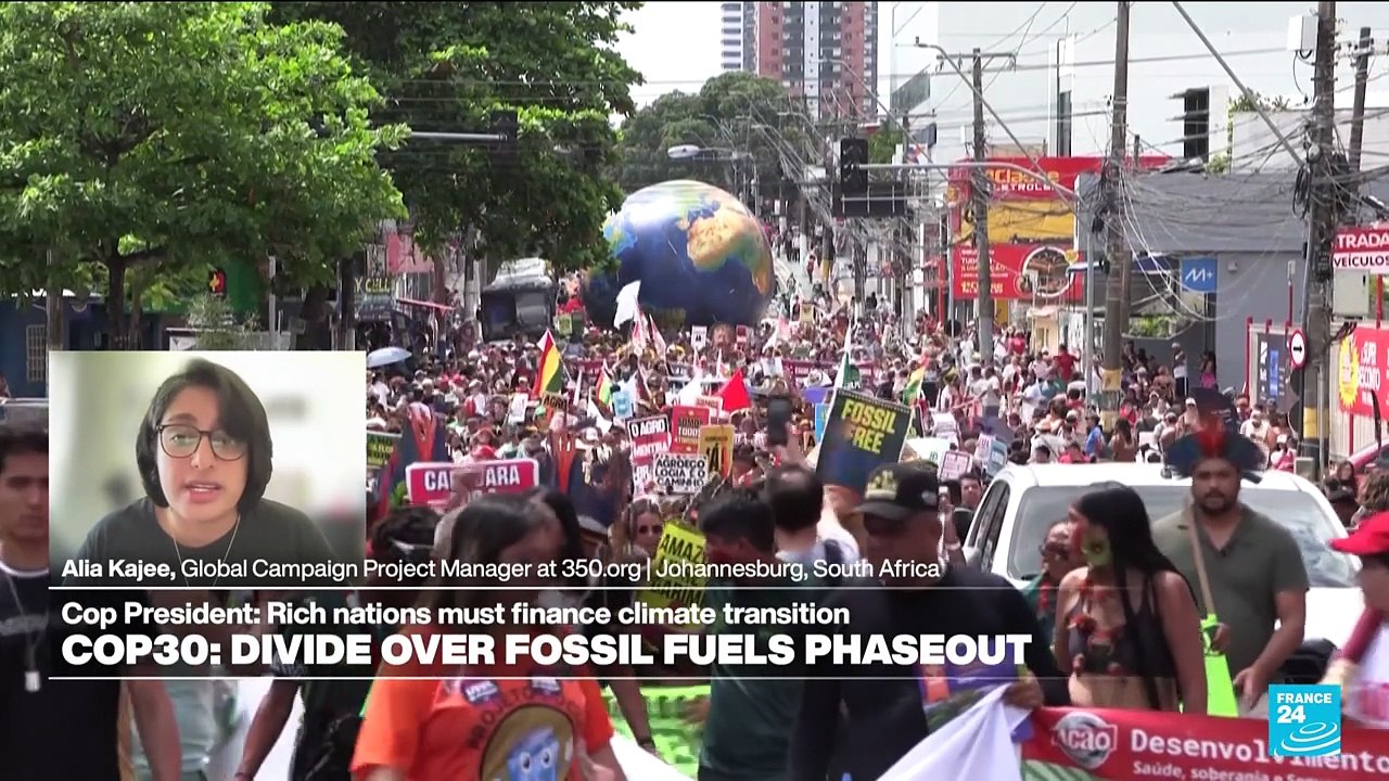 COP30: 'Just a platform to bring nations together and negotiate what countries bring to the table'