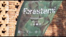 Milano, Forestami porta la natura dentro le scuole dell'infanzia