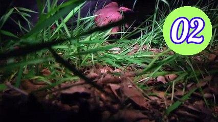 The Creep Tapes Season 2 Episode 2 Engsub