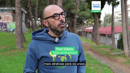 Número de animais selvagens aumenta na Grécia e gera preocupação entre moradores