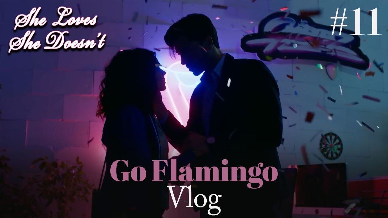 Go Flamingo Vlog #11