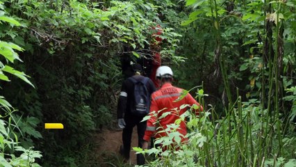 Resgate na Selva: Como a Tecnologia e Habilidades Específicas são Usadas na Busca por Idoso Perdido em Área Florestal