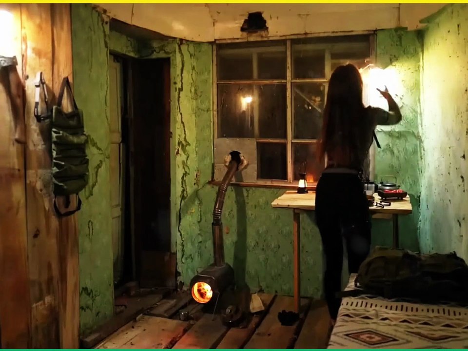 Night Alone in My Forest House After So Many Years
