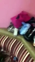 بالفيديو شرطة الرياض وقوات تداهم أوكار دعارة واستراحات مشبوهة