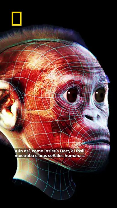 Cuando un importante cráneo estuvo dando vueltas por Londres