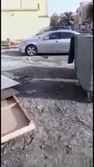 مقطع فيديو لقط متحمس يثير اعجاب رواد مواقع التواصل الاجتماعي بالسعودية