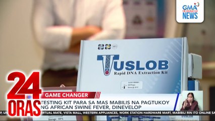 Testing kit para sa mas mabilis na pagtukoy ng African Swine Fever, dinevelop | 24 Oras