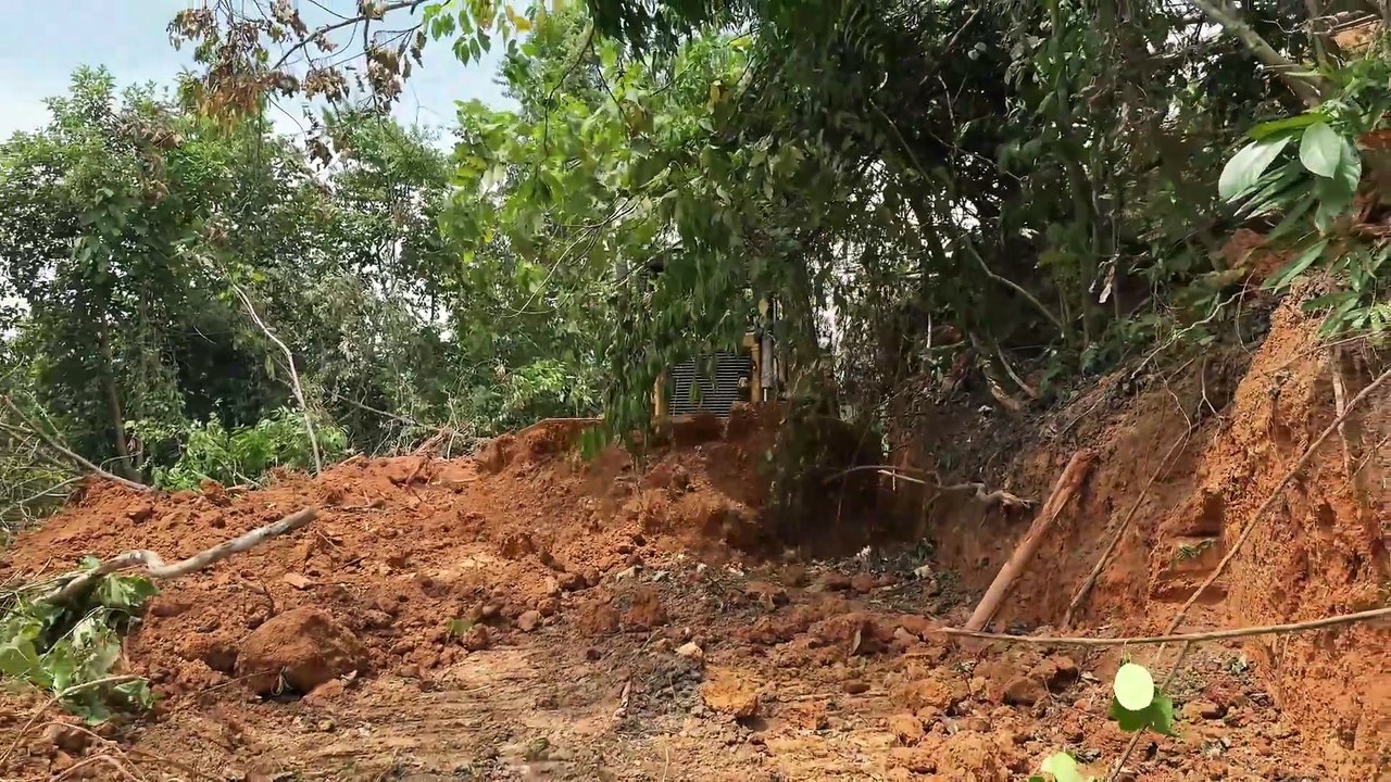 Quick Road Leveling Process with D6R XL Bulldozer in the Mountain Plantation