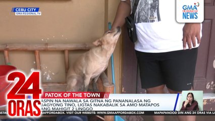 Aspin na nawala sa gitna ng pananalasa ng Bagyong Tino, ligtas nakabalik sa amo matapos ang mahigit 2 linggo | 24 Oras