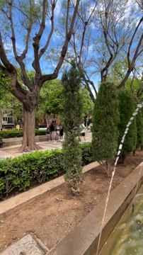 BALADE dans les ruelles de Palma