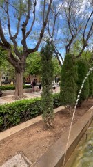 BALADE dans les ruelles de Palma