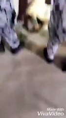 بالفيديو..حاج يتوفي ساجداً في السعودية