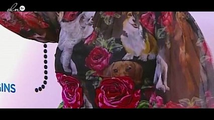 مهرجان الجونة السينمائي...اطلالات كارثية