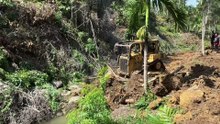 How to Quickly Open Oil Palm Terraces with a D6R XL Bulldozer in Mountain Plantations