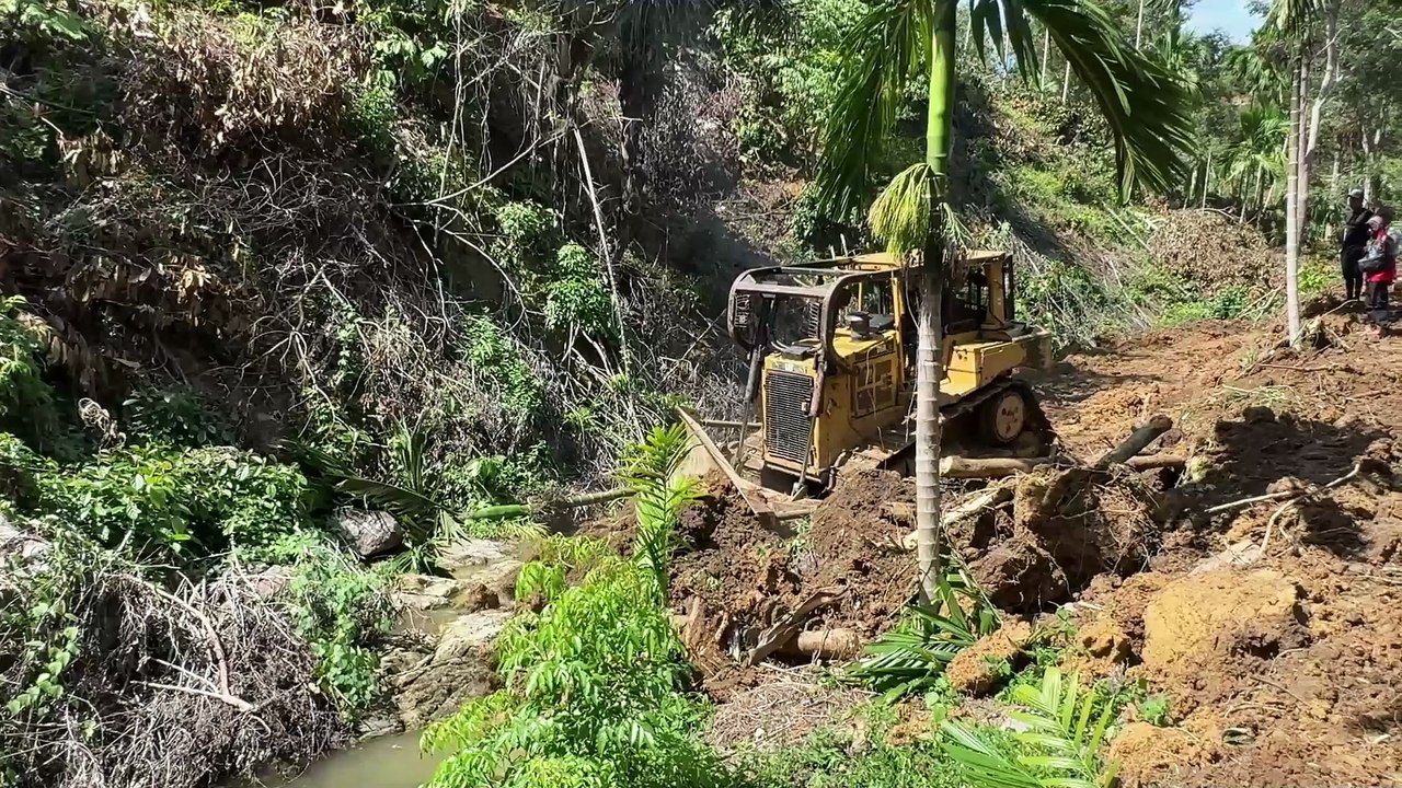 How to Quickly Open Oil Palm Terraces with a D6R XL Bulldozer in Mountain Plantations