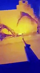 شاب سعودي يقوم بقتل القطط بسبب جلوسهم على سيارته