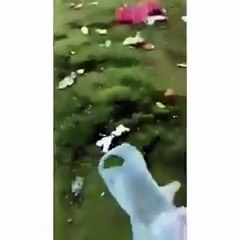 بالفيديو فتاة سعودية تنظف احدى الحدائق العامة بالرياض من المخلفات