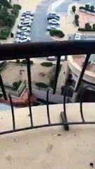 هجوم "قرود"على أحد مرتادي فندق رمادا بالطائف السعودية