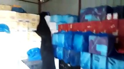 بالفيديو ضبط مستودع خمور بجدة بقيمة 30 مليون ريال