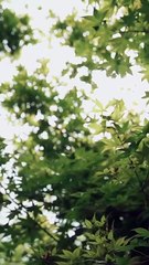 Reborn Reviled And Ridiculously Loved