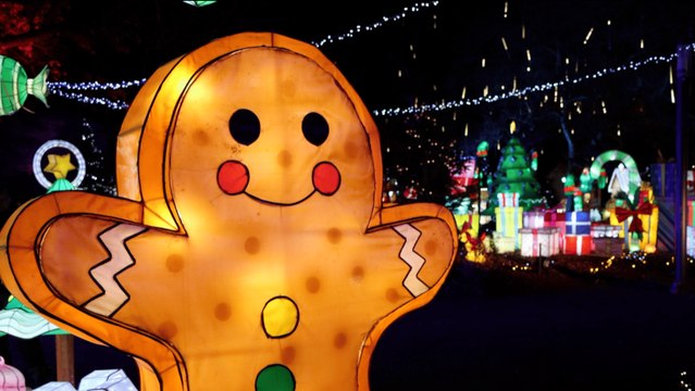 Le sentier des lanternes fait son retour à Metz
