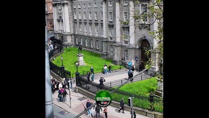 Why Book  Hop On Hop Off Bus Tours?