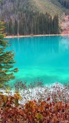 ROAD TRIP automnal au Canada