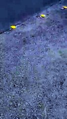 بالفيديو سرقة واطلاق نار امام بنك ساب بالرياض