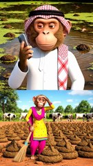 Monkey Lying to His Girlfriend on the Phone – Hilarious Viral Moment!