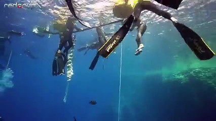 بالفيديو غواص سعودي يحقق أعمق غطسة على مستوى غواصي الخليج