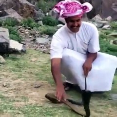 شاب سعودي يواجه ثعبان ضخم ويلتهمه