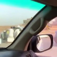 مضاربة بين شباب سعوديون على الطريق تنتهي بمفاجأة!