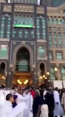 فيديو طريف يوثق عراك قطتين سوياً بالحرم المكي