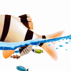 SERDAR ŞİMŞEK KOMİK DENİZ CANLILARI MÜZİKLİ KARİKATÜR GİF