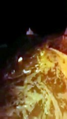 أضرار وخسائر هائلة بالأفلاج بسبب الأمطار والسيول