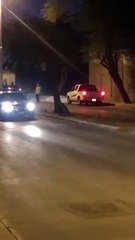 فهد يتجول في أحياء القصيم ويثير ذعر المواطنين